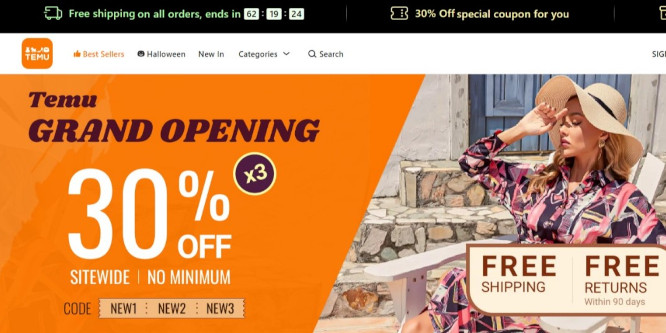 Temu promotion, image of website with half screen orange and a 30% off promotion, the other half of the screen a woman in a hat reclining on a chair in the sun