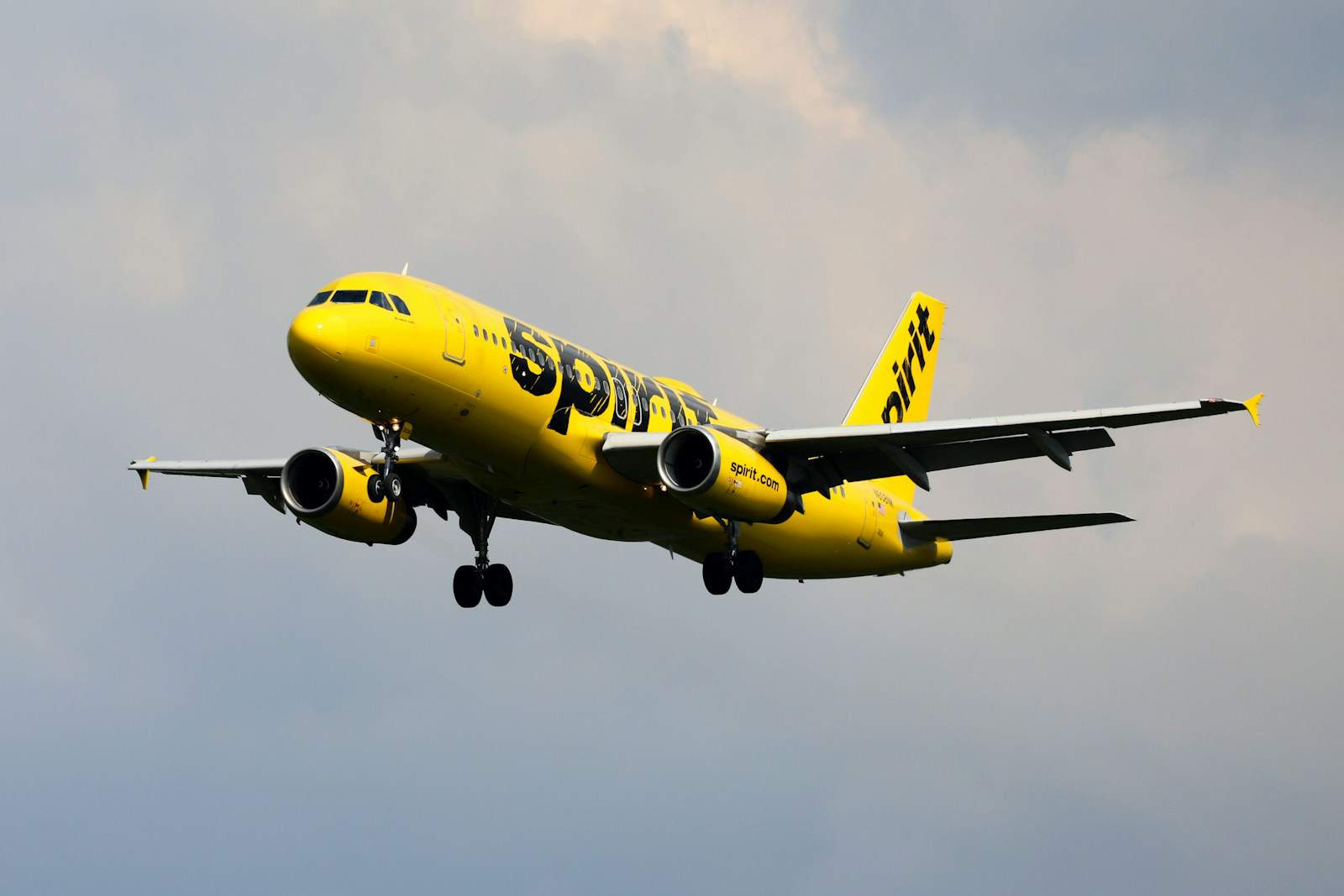 a yellow and black airplane flying spirit airlines